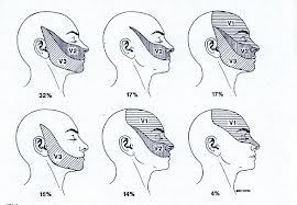 Εικ.4: Ζώνες προσβολής και συνδυασμοί αυτών