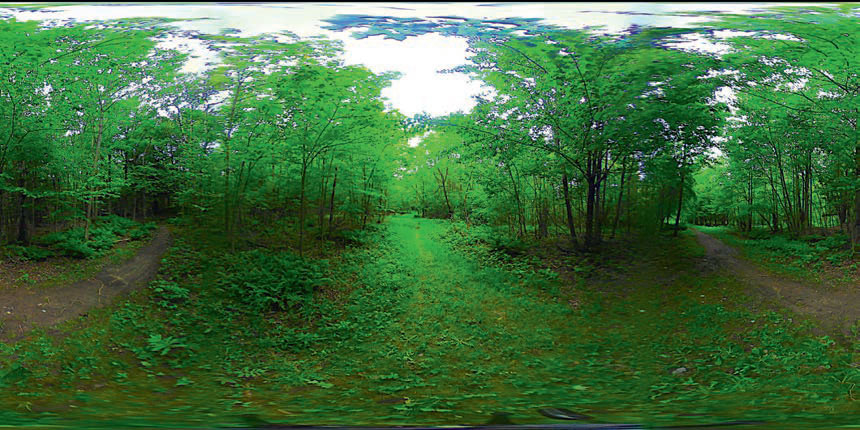 Καναδικό δάσος σε ΕΠ.