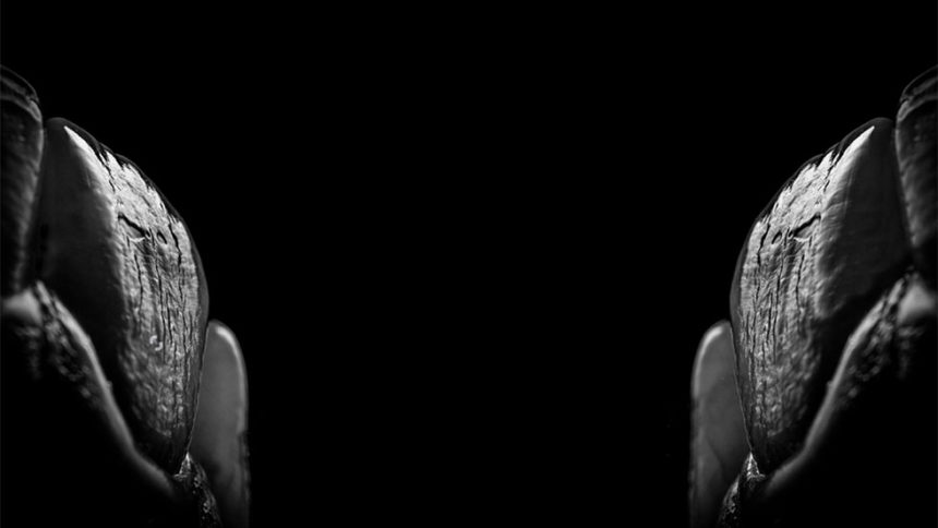 Ακίνητη Προσθετική. Η επίσημη αγαπημένη οδοντιάτρου & οδοντοτεχνίτη