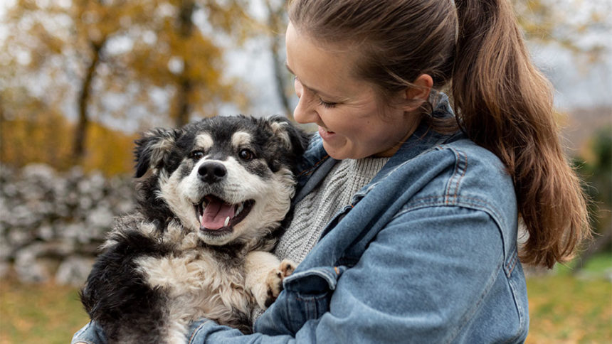 Προληπτική οδοντιατρική για pets