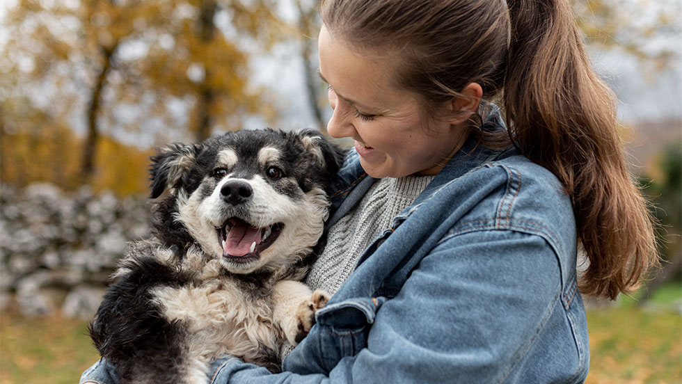 Προληπτική οδοντιατρική για pets