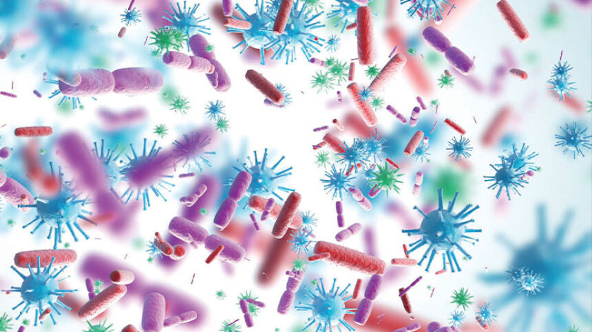 Μία νέα μελέτη δείχνει ότι τα βακτήρια αγαπούν κάποια επανορθωτικά υλικά περισσότερο από άλλα