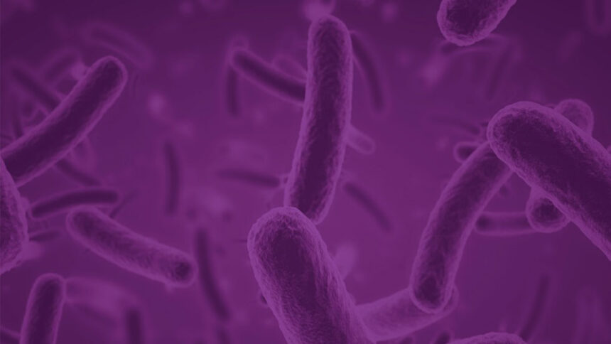 Ο προβιοτικός παράγοντας Saccharomyces boulardii (CNCM Ι-745) στην καθ΄ημέρα κλινική πράξη